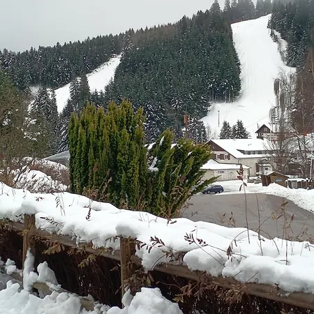 Duplex Etoile Confort Aux Pieds Des Pistes - * Gérardmer
