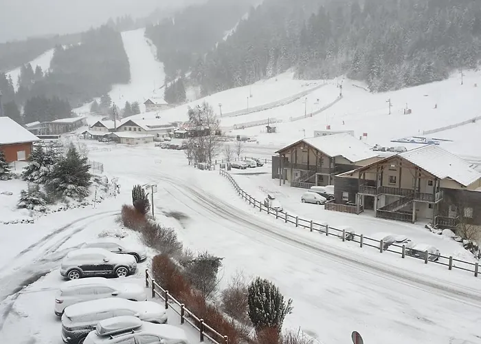 Duplex Etoile Confort Aux Pieds Des Pistes - Apartmán Gérardmer