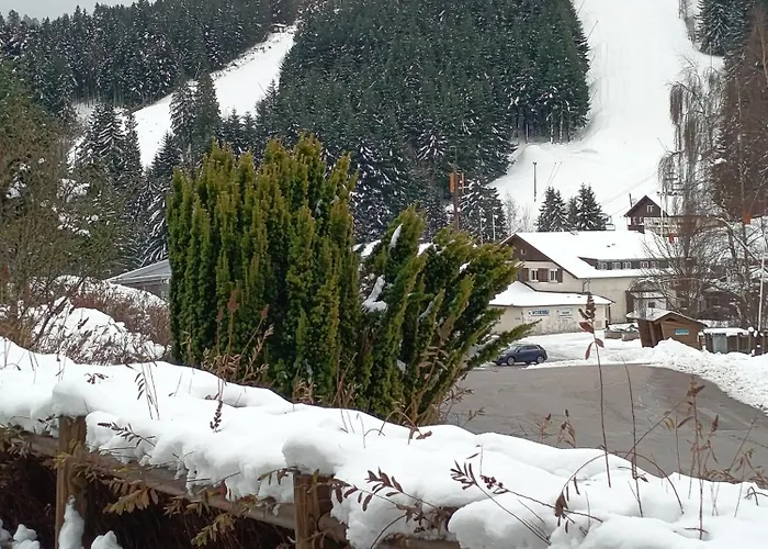 Duplex Etoile Confort Aux Pieds Des Pistes - * Gérardmer